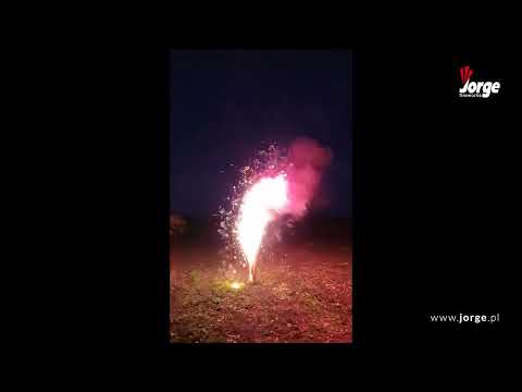 Coral Fountain by Jorge @fireworkcrazy