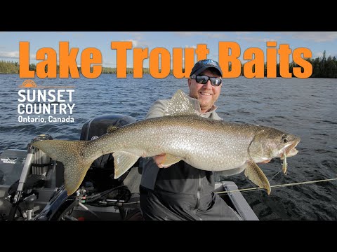 Lake Trout Baits for Sunset Country
