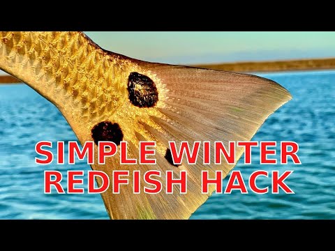 Simple Hack To Find Big Schools Of Winter Redfish [Fishing Report]
