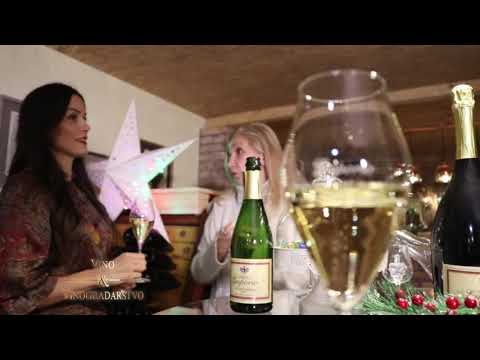 Vinarija Emporio, promocija vina u vinoteci Zmaja od Nocaja 9 (Vino i vinogradarstvo)