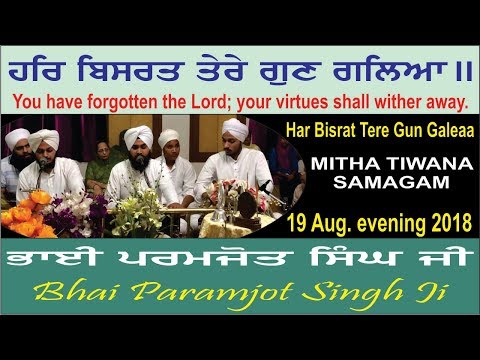 Har Bisrat Tere Gun Galeaa By Bhai Paramjot Singh Ji