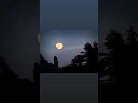 "GUARDA LA LUNA. GUARDALA. È LA STESSA LUNA DI SEMPRE …