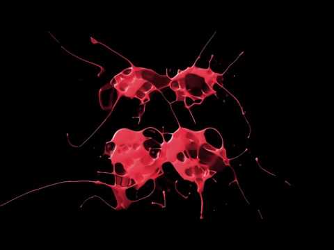 Kevin Sunray Feat. Tasos Fotiadis - Wonderful Life (Dab Radio Mix)