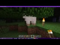 Hyper Sheep Too Much Sugar Funny