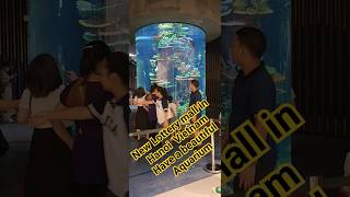 New Lottern Mall in Hanoi Vietnam #fypシ #fypシ #trending #viral #shorts @josephinechannel7954
