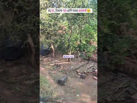 कोकण ❤️|kokan whatsapp status|sample sare duve#kokan #kokanbeauty #konkan #shorts💚!!