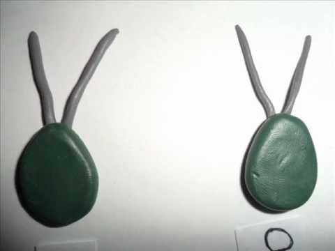 clamidomonas (ciclo de vida)