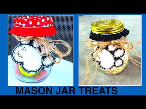 download lagu mp3 mp4 Dog Biscuit Mix In A Jar, download lagu Dog Biscuit Mix In A Jar gratis, unduh video klip Dog Biscuit Mix In A Jar
