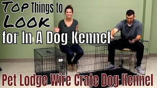 Top Things to Look for In A Dog Kennel- Pet Lodge Wire Crate