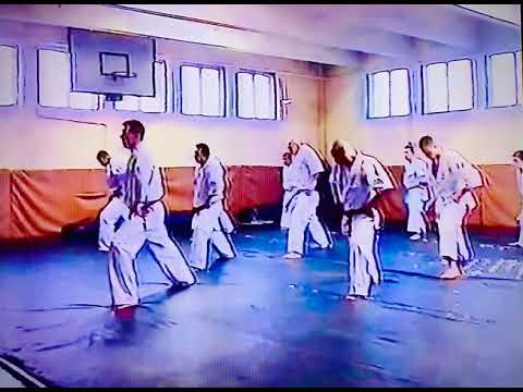 NIKO ASHIHARA Karate 1999 România