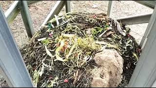 Download lagu Ziarah ke Makam Datu Bagul dan Wawancara dengan Pengurus Makam Syekh Umar mp3