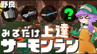 【野良】見るだけ上達サモラン！火力で越えろ１枠ランダムアラマキ砦🐋カンスト293回【スプラトゥーン3/サーモンランNW】