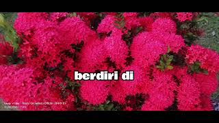 Download lagu the pretenders - I'll stand by you ( terjemahan ) mp3