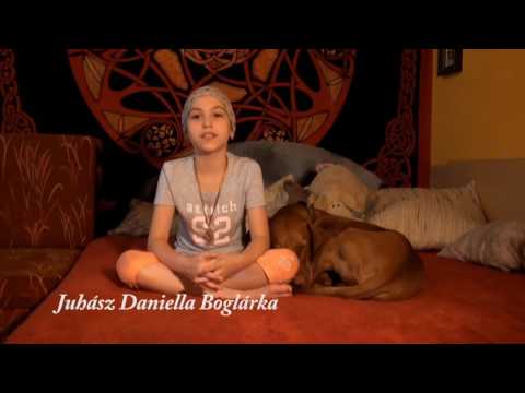 Vazul Vere dokumentumfilm