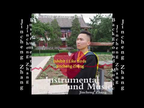 Jincheng Zhang - Integrate I Like Birds (Official Instrumental Background Music)