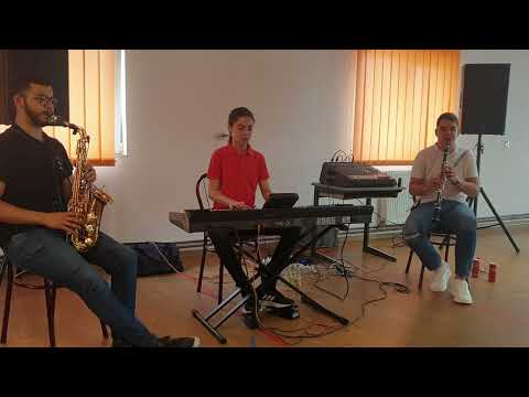 Busuioc de prin Banat - instrumental