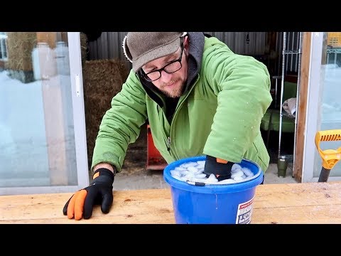 Winter Gloves