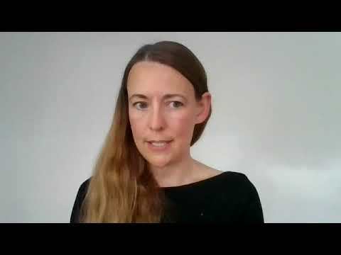 What is the Large Intestine Meridian in Kinesiology?