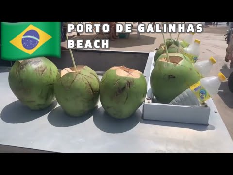 🇧🇷PORTO DE GALINHAS BEACH | BRAZIL | WALKING