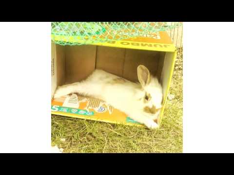 the student becomes the master