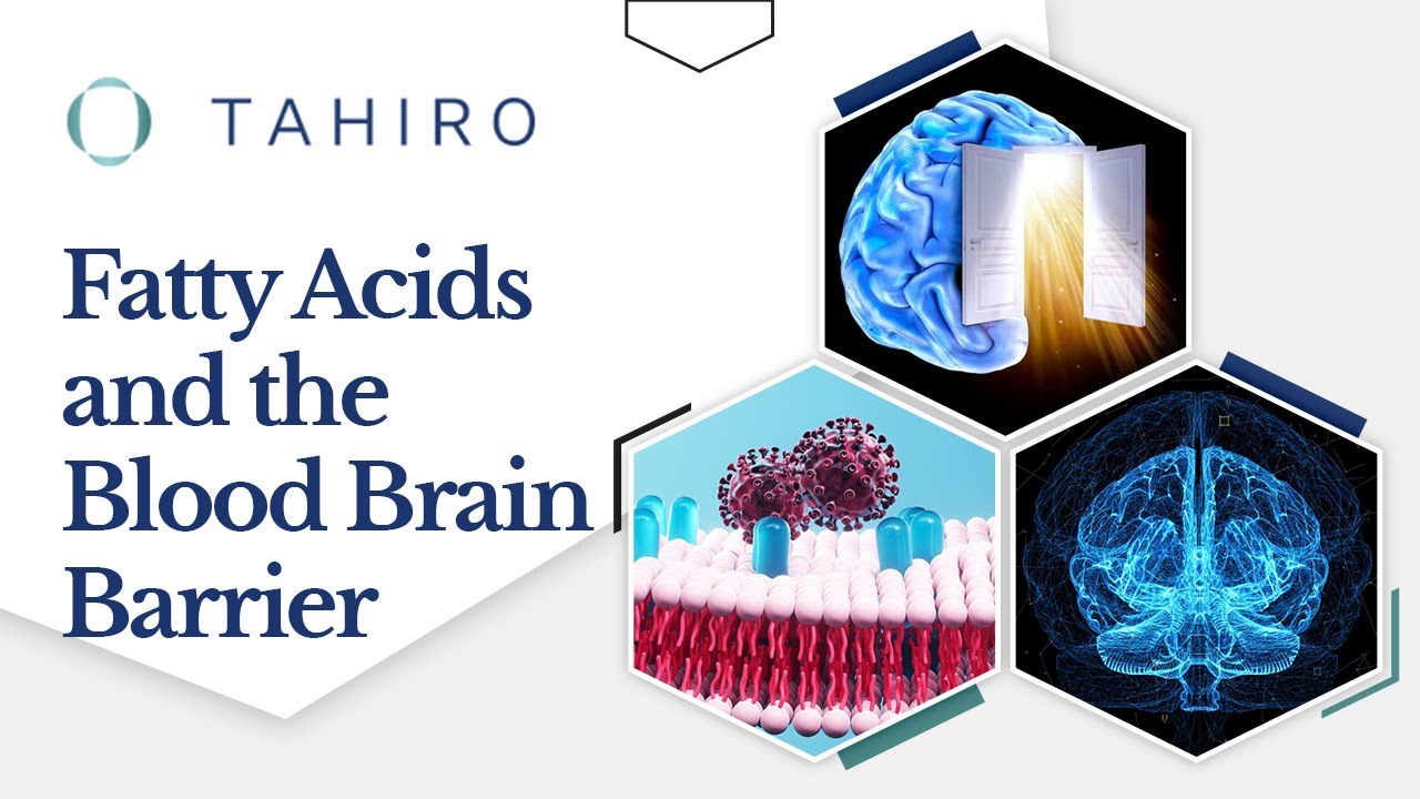 Brain Fuel: How Fatty Acids Fuel the Brain Against All Odds