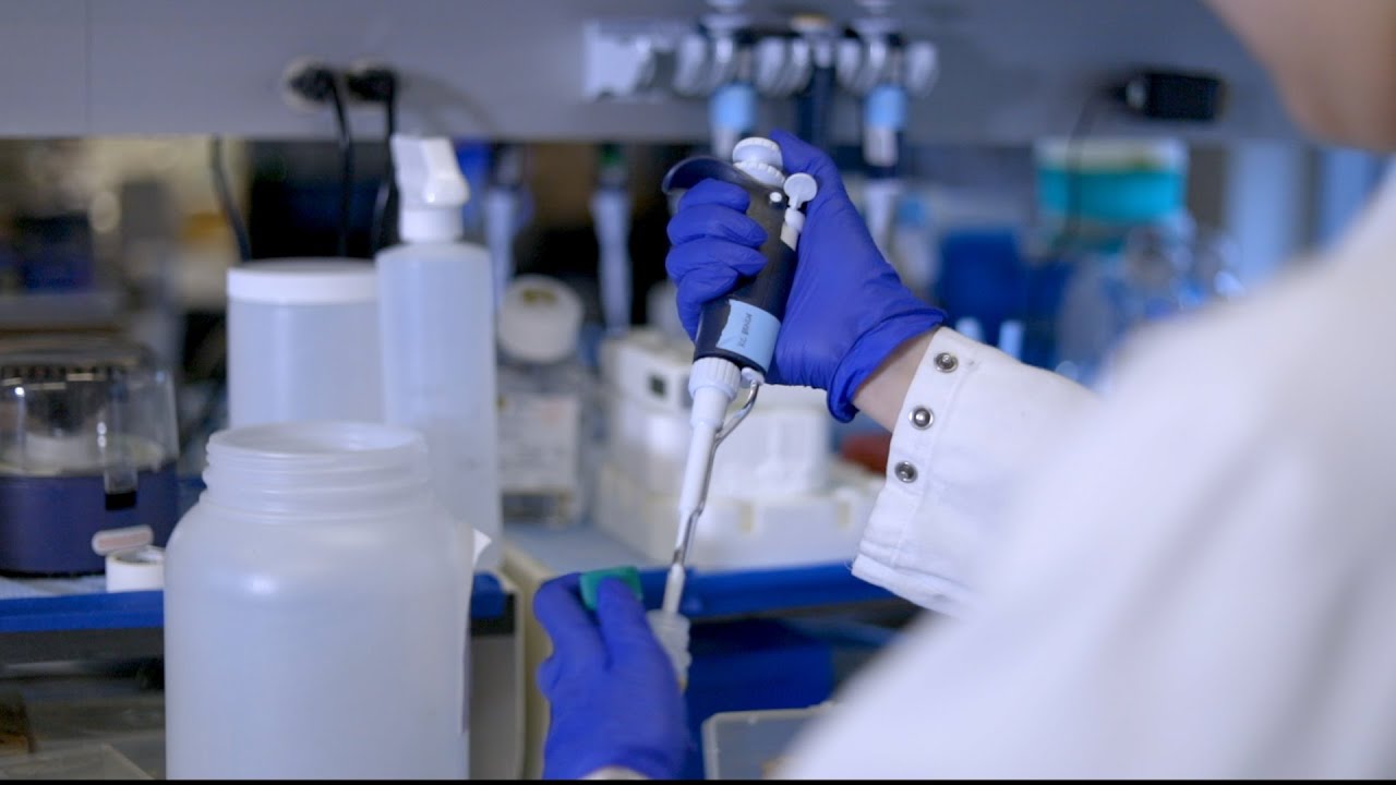 Medical School Research: Using Cancer’s Strength to Fight Against It