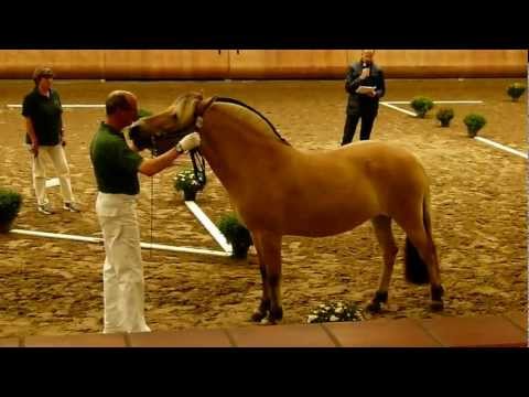 Elitestutenschau Wickrath 2012