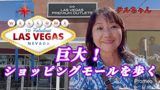 [70代シニアアメリカ生活]  ☆ノース・プレミアムアウトレッド！