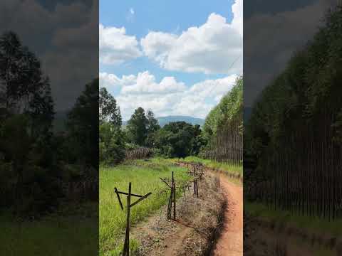 🚁 Explorando Toledo - Minas Gerais