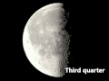 Mr Lee Phases Of The Moon Rap