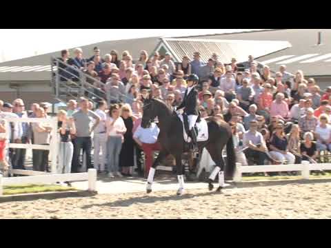 Hengstenstation van Uytert -Fürst Dior