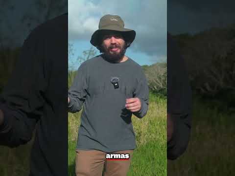 Así ocurrió la Masacre de Cotito