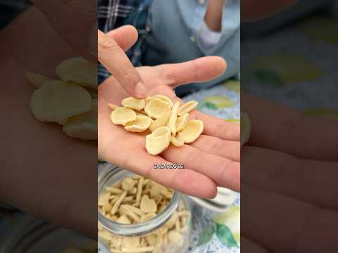Pasta e Fagioli - Pasta and Bean Soup