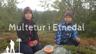 preview picture of video 'Multetur i Etnedal'