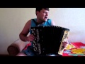 Сектор Газа - Импотент (кавер, баян) 
