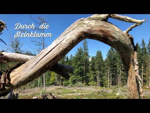 Bayerischer Wald, Große Ohe und Steinklamm - Spiegelau