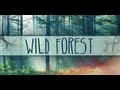 Wild Forest