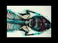 Mice Parade @ 432Hz: The Last Ten Homes