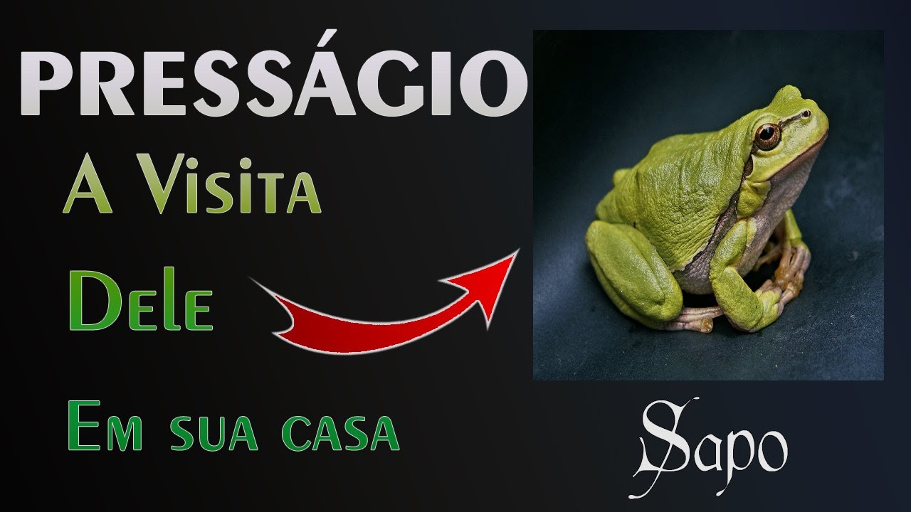 🏡 A Mensagem do Sapo - Visita em seu lar!