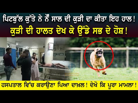 Pitbull ਕੁੱਤੇ ਨੇ ਨੌੰ ਸਾਲ ਦੀ ਕੁੜੀ ਦਾ ਕੀਤਾ ਇਹ ਹਾਲ! ਕੁੜੀ ਦੀ ਹਾਲਤ ਦੇਖ ਕੇ ਉੱਡੇ ਸਭ ਦੇ ਹੋਸ਼! ਹਸਪਤਾਲ ਵਿੱਚ ਕਰਾ
