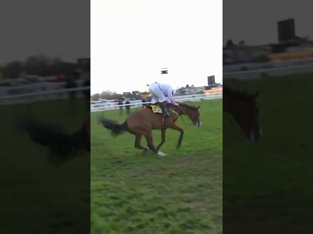 Thumbnail for Post ID: 79OYXAlwLjU