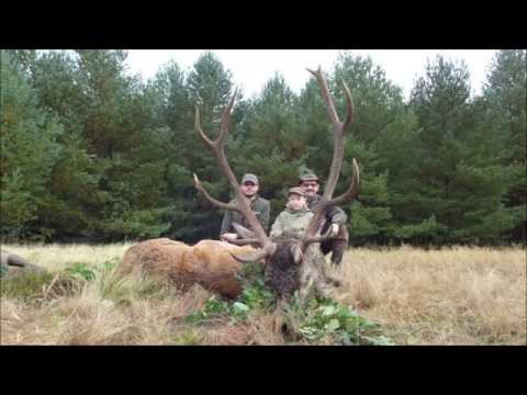Gewaltige Strecke nach erstem Jagdtag!