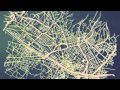 Silver Firs--Away We Go 