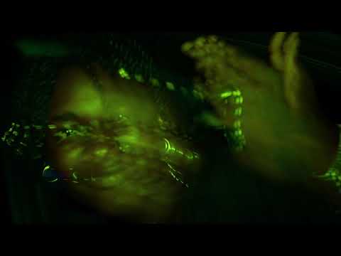 Lil Skid, Chuki Beats - Pop It