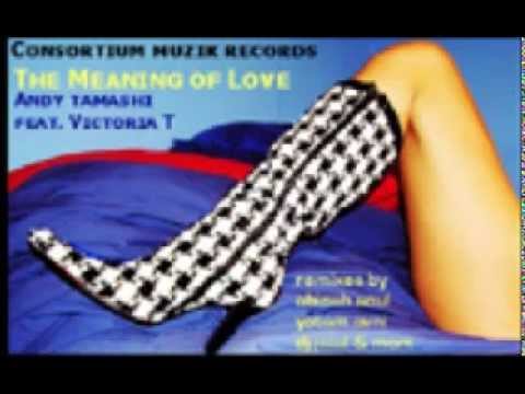 Andy Tamashi feat. Victoria T - The Meaning Of Love (Monte Carlo Method Remix)