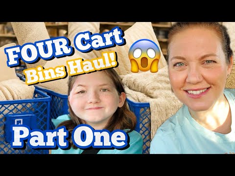 INSANE 4 Cart Goodwill Bins Thrift Haul: PART ONE 🛒 🛒 🛒 🛒 