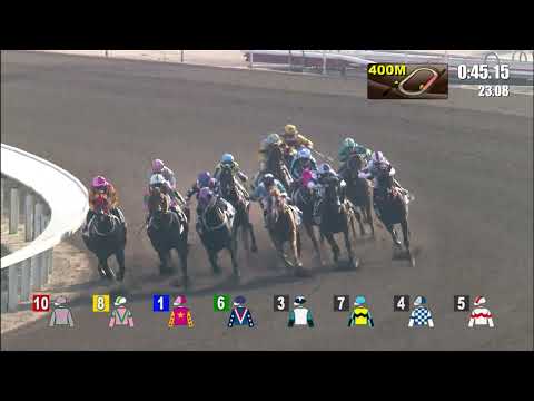 18/12/2021 (266) Gunnison - Derek Leung