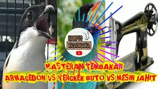 Download lagu MASTERAN TENGKEK BUTO VS ARMAGEDON VS MESIN JAHIT RAPET DIULANG 5 KALI !FULL NEMBAK ! mp3