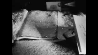 The Androids: Stranger in a Strange Land