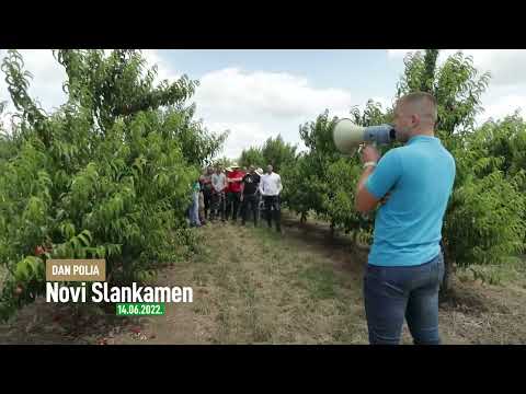 Osvrt na Dan polja breskve i jabuke u Novom Slankamenu